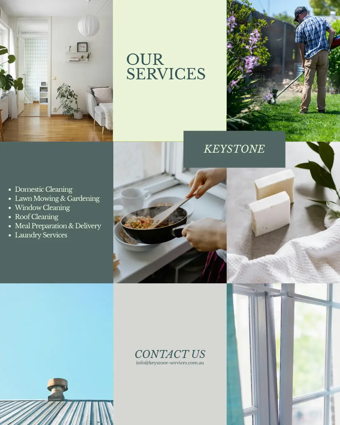 Indoor plant in a veteran's well-maintained home