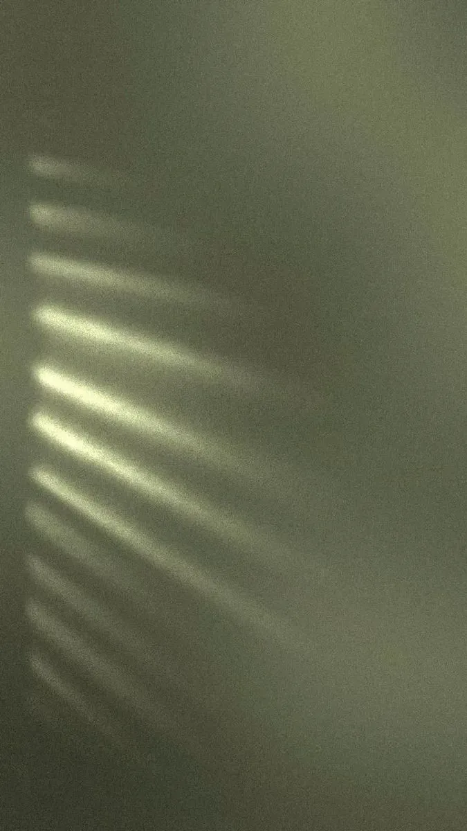 Lush green garden maintained by Keystone service providers